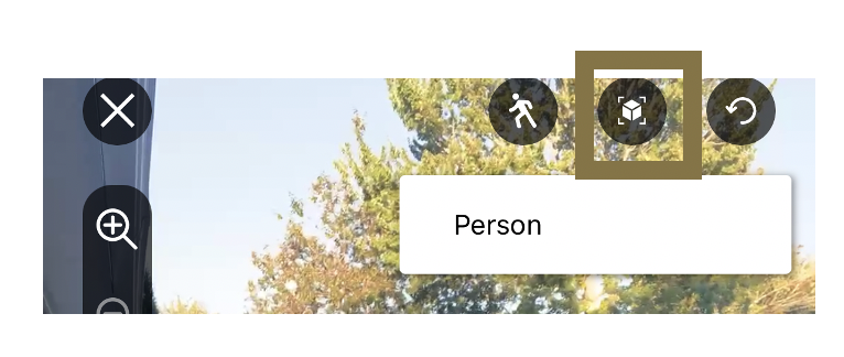Bounding Box Editing Tool selected